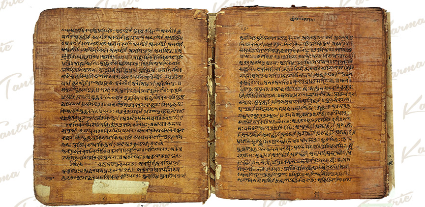 Panini's Birch Bark Tantra Manuscript