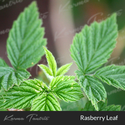 rasberry leaf for yoni steam